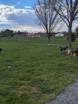 Chestertown Dog Park - Chestertown, MD