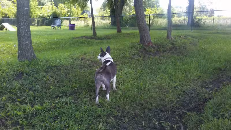 Tina Maple Memorial Dog Park - Chillicothe, MO