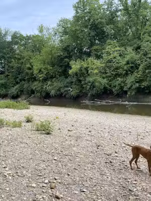 Maple Grove Prairie & Dog Play Area - Chillicothe, OH