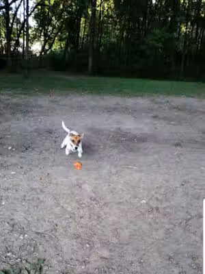 Chisago City Dog Park - Chisago City, MN
