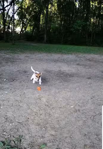 Chisago City Dog Park - Chisago City, MN