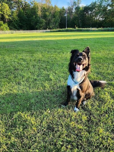 Town Hall Park - Chisago City, MN