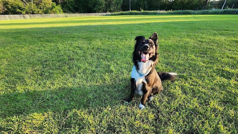 Town Hall Park - Chisago City, MN