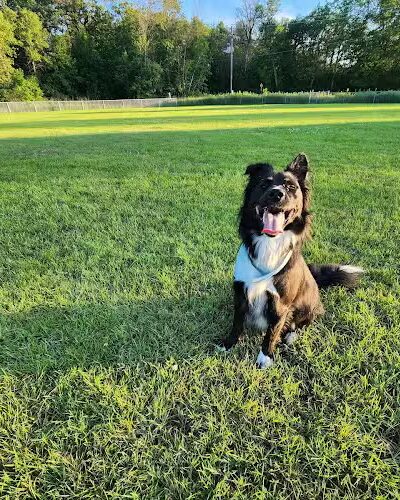 Town Hall Park - Chisago City, MN