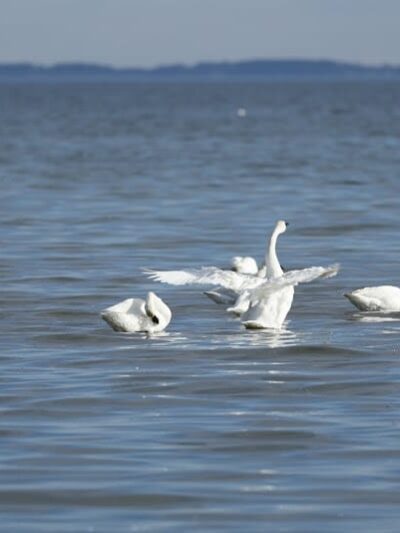 Franklin Manor Community Private Park - Churchton, MD