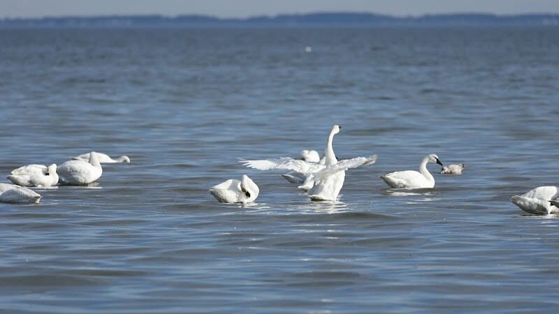 Franklin Manor Community Private Park - Churchton, MD