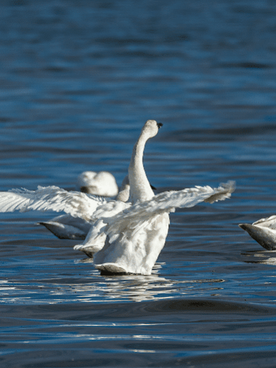 Franklin Manor Community Private Park - Churchton, MD