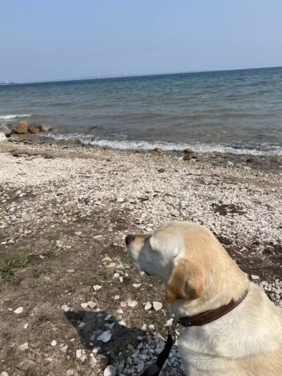 Brookwood Athletic complex - Clare, MI