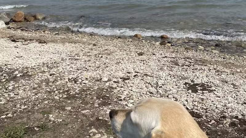 Brookwood Athletic complex - Clare, MI
