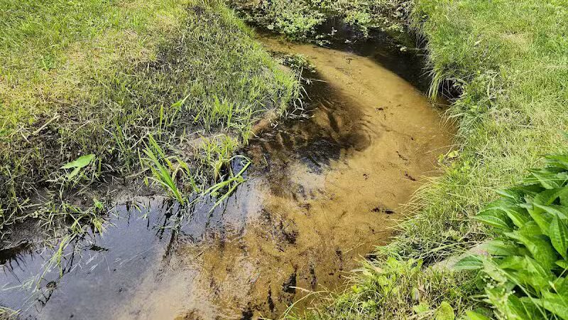 Gerrish Railroad Roadside Park - Clare, MI