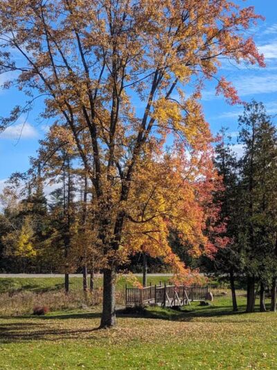 Gerrish Railroad Roadside Park - Clare, MI