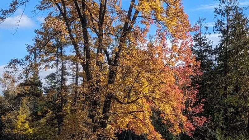 Gerrish Railroad Roadside Park - Clare, MI