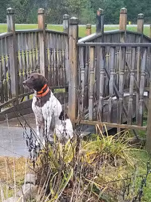 Gerrish Railroad Roadside Park - Clare, MI