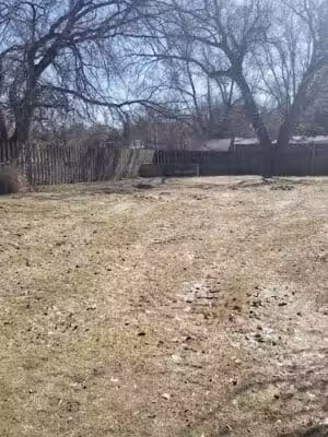 Maple Street Park - Clare, MI