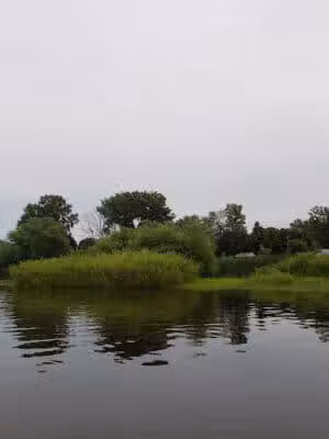 Shamrock Park - Clare, MI