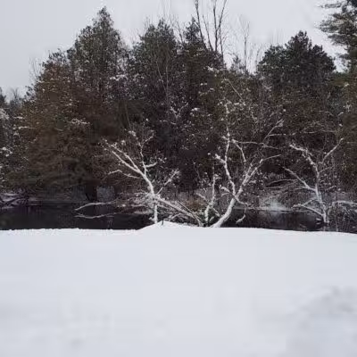 Pettit Park - Clare, MI