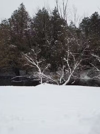 Pettit Park - Clare, MI