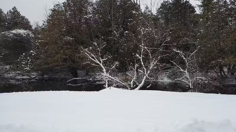 Pettit Park - Clare, MI