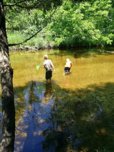 Pettit Park - Clare, MI