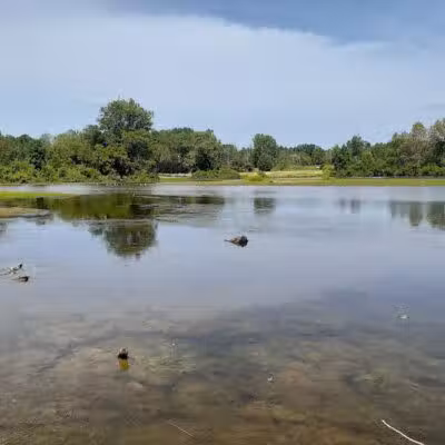 Shamrock Park - Clare, MI