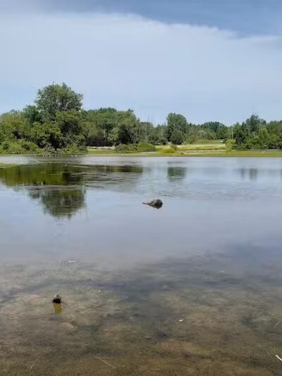 Shamrock Park - Clare, MI