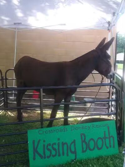 Shamrock Park - Clare, MI