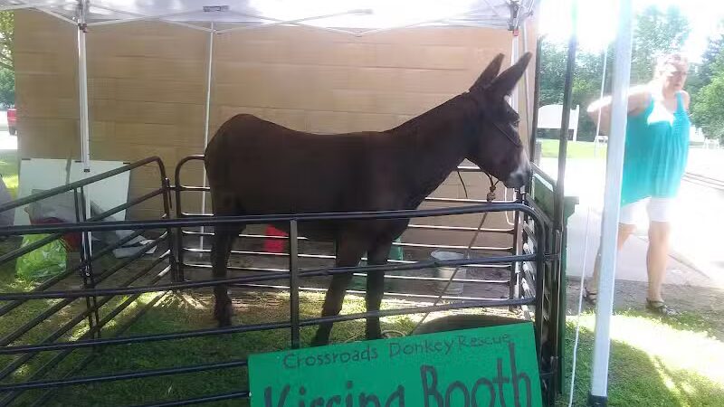 Shamrock Park - Clare, MI