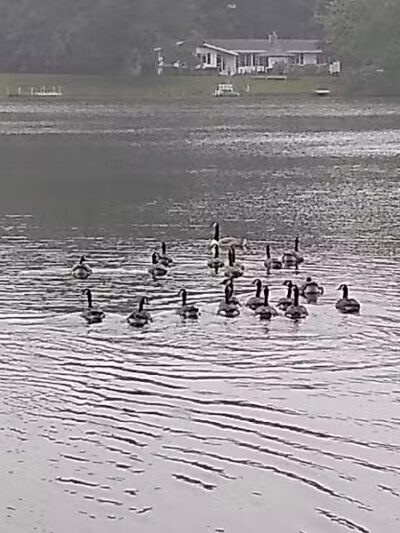 The Dam at Lake Shamrock - Clare, MI