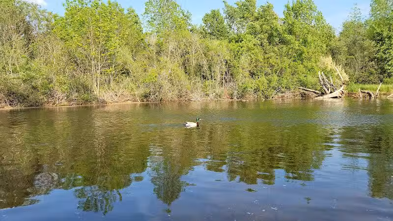 The Dam at Lake Shamrock - Clare, MI