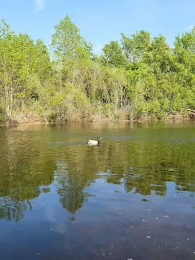 The Dam at Lake Shamrock - Clare, MI