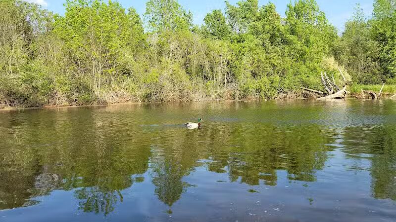 The Dam at Lake Shamrock - Clare, MI