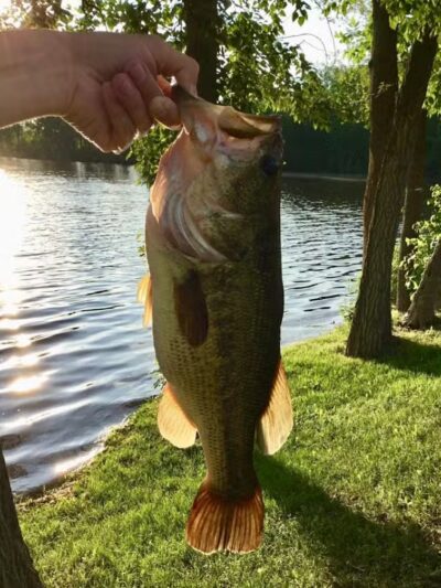 The Dam at Lake Shamrock - Clare, MI