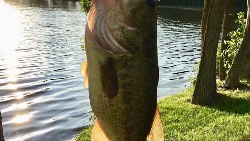 The Dam at Lake Shamrock - Clare, MI