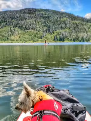 Pearl Lake State Park - Clark, CO