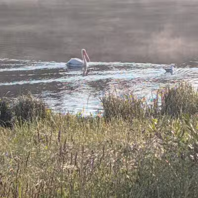 Steamboat Lake State Park - Clark, CO