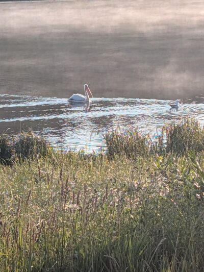 Steamboat Lake State Park - Clark, CO