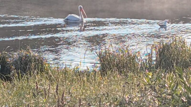 Steamboat Lake State Park - Clark, CO