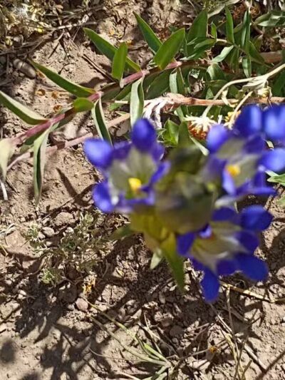 Steamboat Lake State Park - Clark, CO