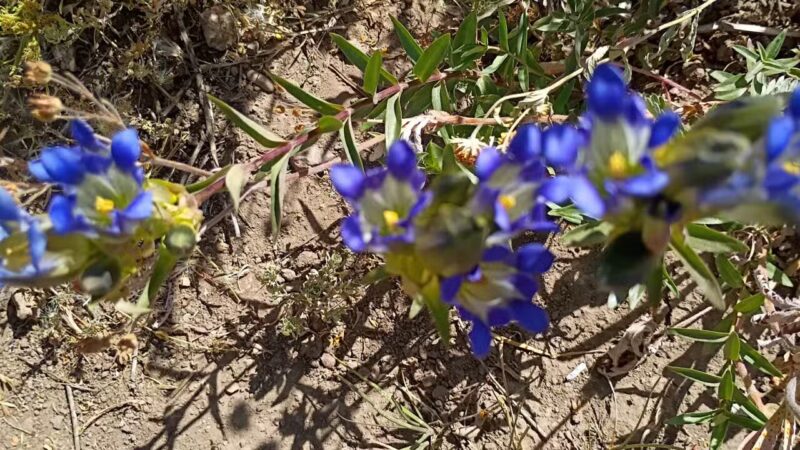 Steamboat Lake State Park - Clark, CO