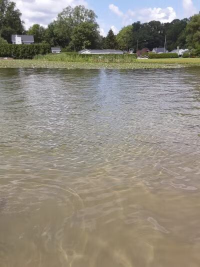 Clark Lake County Park - Clarklake,