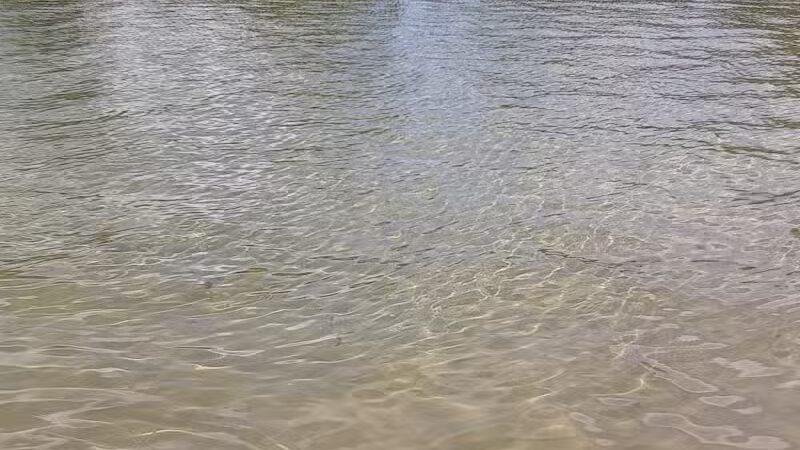 Clark Lake County Park - Clarklake,