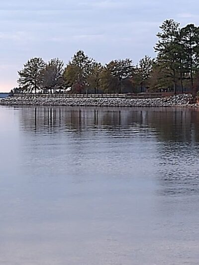 Clarks Hill Park Dog Beach - Clarks Hill, SC