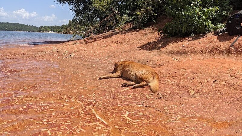 Clarks Hill Park Dog Beach - Clarks Hill, SC