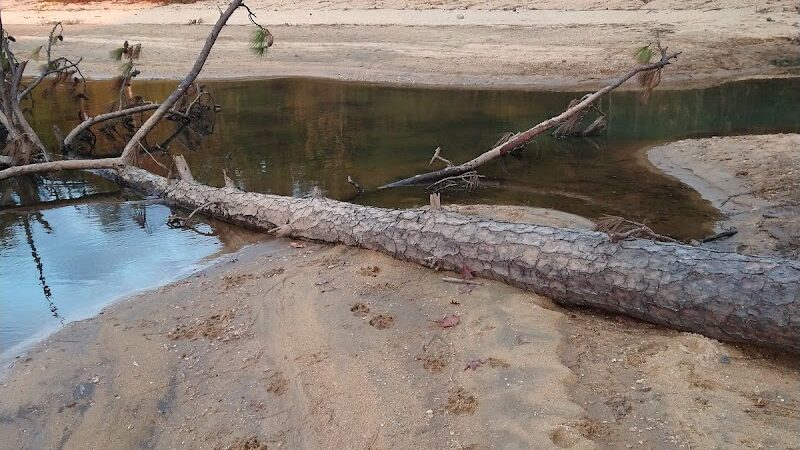 Clarks Hill Park Dog Beach - Clarks Hill, SC