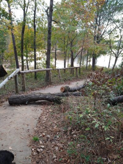 Clarks Hill Park Dog Beach - Clarks Hill, SC