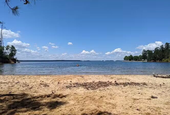 Clarks Hill Park Dog Beach - Clarks Hill, SC