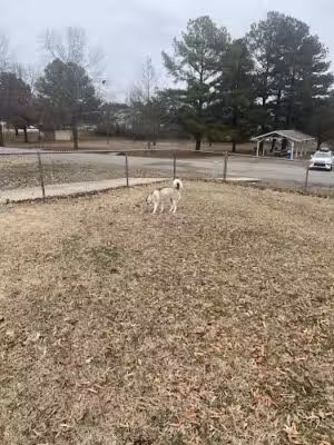 Clarksville Dog Park - Clarksville, AR