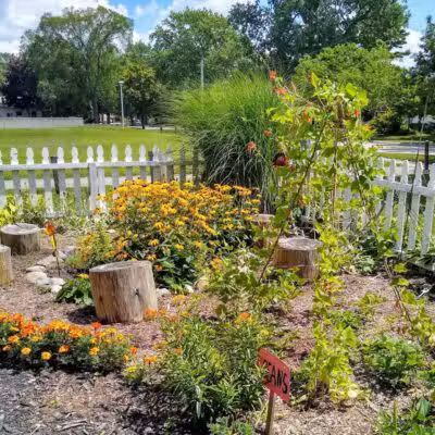 Parkland Park - Clawson,