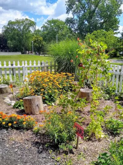 Parkland Park - Clawson,