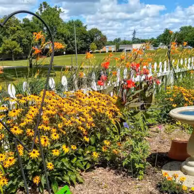 Parkland Park - Clawson,